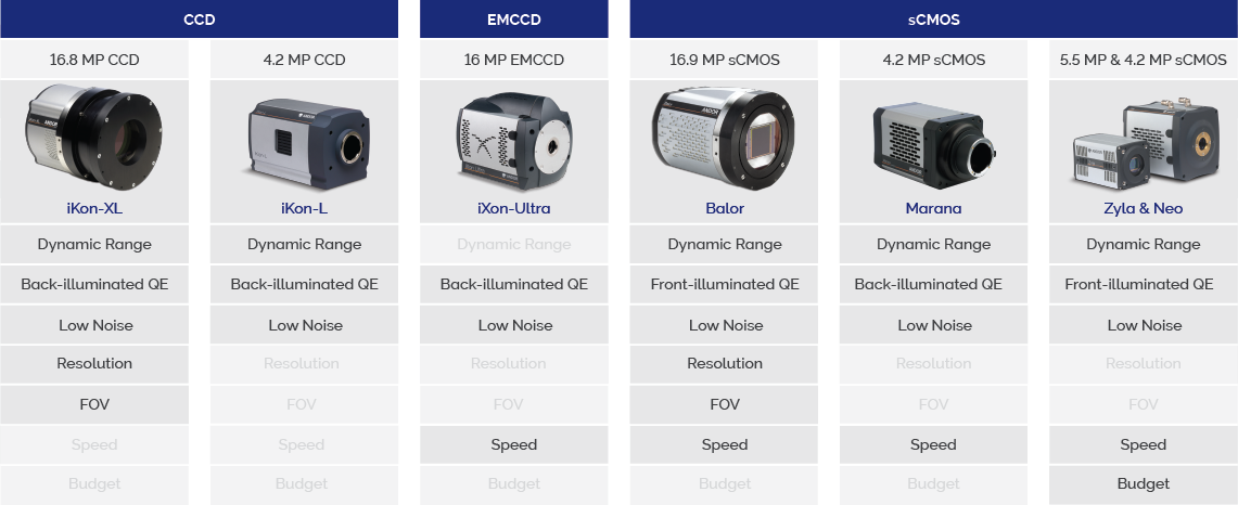 camera megapixel comparison