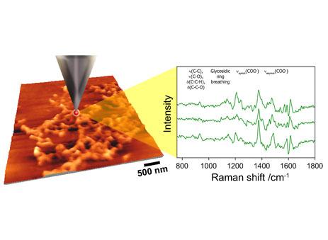Spectroscopy Cameras for UV to NIR and SWIR - Andor - Oxford 