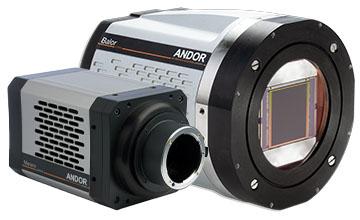 Scientific sCMOS Cameras for Life & Physical Science - Andor Scientific sCMOS Cameras for Life & Physical Science - Andor