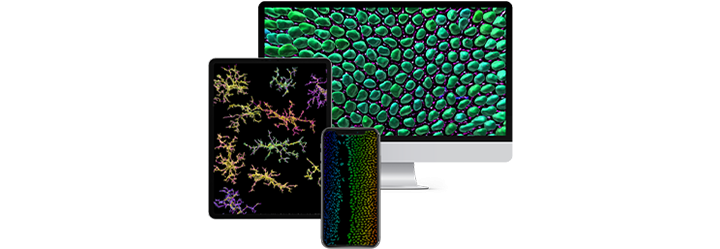 Imaris and Software Icon