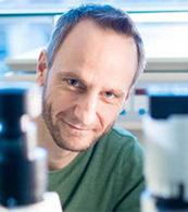 Professor Jacco van Rheenen, The Netherlands Cancer Institute.