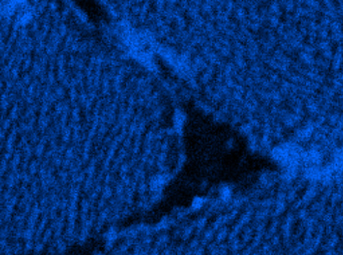Fig. 1. Secondary Electron image of the Inconel 738 sample. Large gamma grains are visible and, within these, smaller gamma prime particles. In this area two crack tips are observed. In the grain above the lower crack tip the gamma prime particles appear to have rafted. There are also some larger particles around the crack tip.