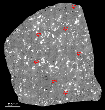 Fig 3. BSE images of typical chondrules in the cross section