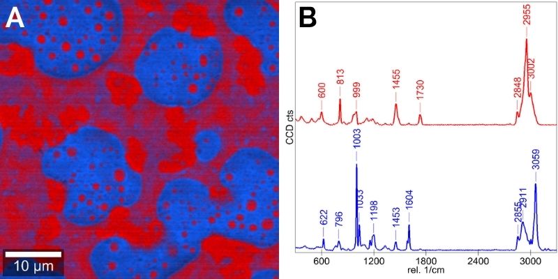 High-resolution Raman image and corresponding Raman spectra of a copolymer sample